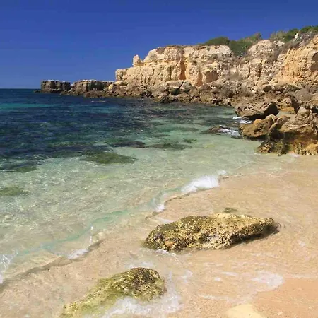 Vila Monte Branco *
